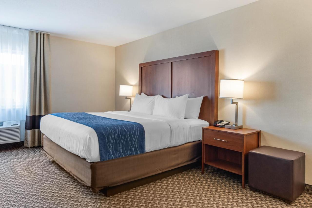 Comfort Inn & Suites Near Route 66 Lincoln Room photo